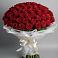 Букет 101 Красная роза Блэк Мэджик в Войвож