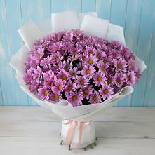 Букет цветов из:  Хризантемы в Войвож