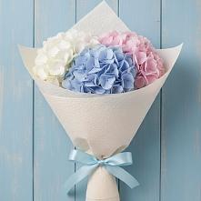 Букет цветов из:  Гортензия в Войвож