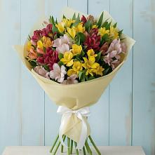 Букет цветов из:  Альстромерии в Войвож