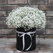 Цветочная композиция из Гипсофила в шляпной коробке #REPLACE_PRED# Войвож