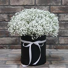 Цветочная композиция из Гипсофила в шляпной коробке в Войвож