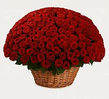 Премиум букет из: Розы #REPLACE_PRED# Войвож