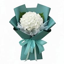Букет цветов из:  Гортензия в Войвож